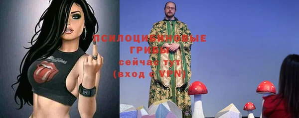 эйфоретик Алексин