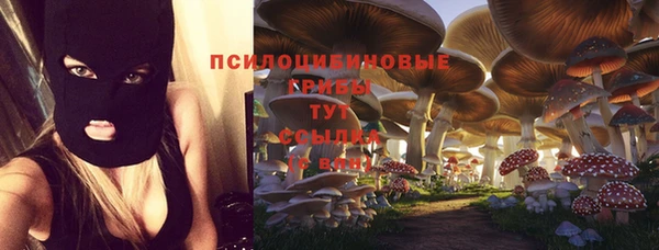 эйфоретик Алексин